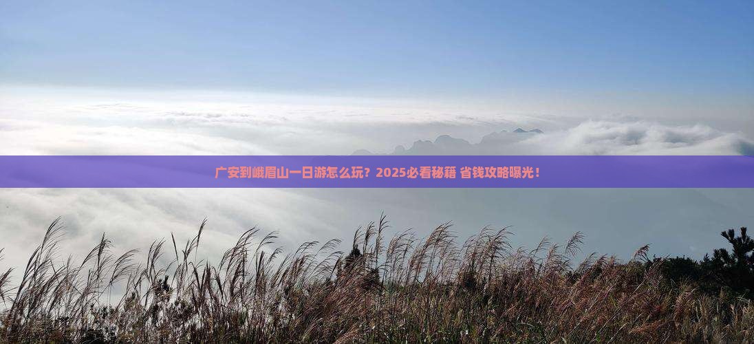 广安到峨眉山一日游怎么玩？2025必看秘籍+省钱攻略曝光！