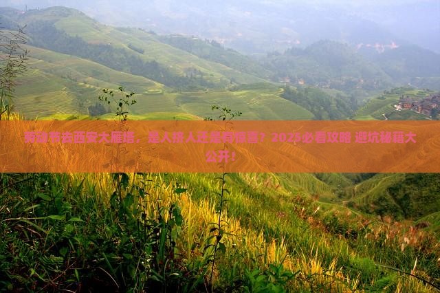 劳动节去西安大雁塔，是人挤人还是有惊喜？2025必看攻略+避坑秘籍大公开！