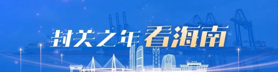 节约近60亿元！海南这个“智能裁判”让招投标更公平高效