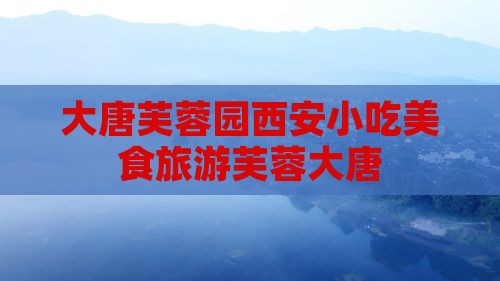 大唐芙蓉园西安小吃美食旅游芙蓉大唐