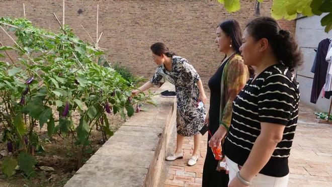 武强县举办“十佳美丽庭院”观摩活动