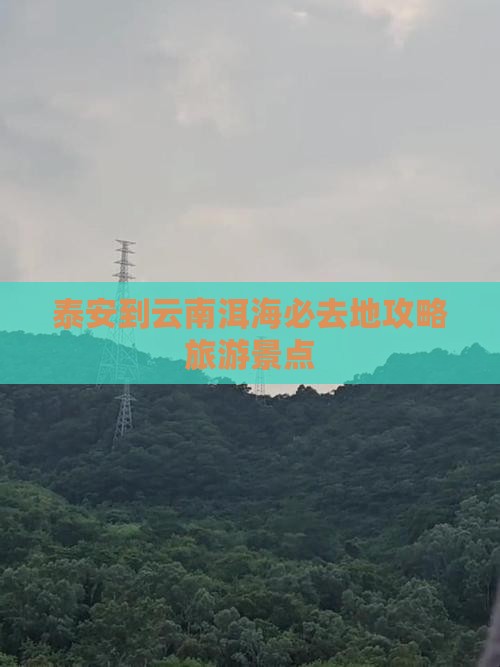 泰安到云南洱海必去地