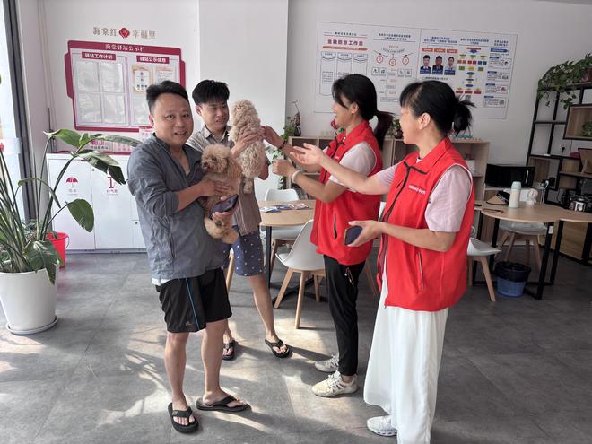 支英社区：网格员牵线寻主，两只泰迪温暖归家