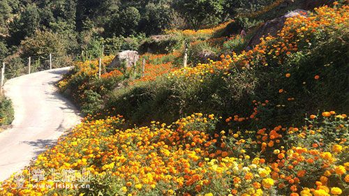 德昌有个神奇的地方 只有你去了才会知道