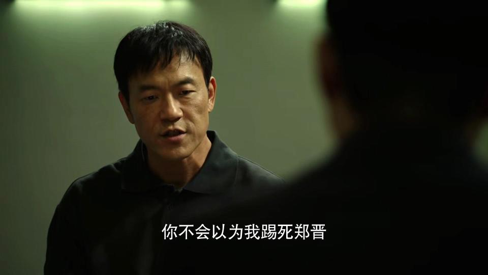 积压5年!央视38集谍战大剧上新!王劲松坐镇,实力派扎堆,能火