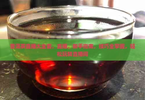 普洱茶直播大全套